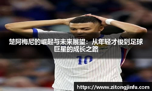半岛·BOB官方网站