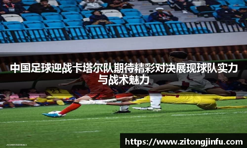 半岛bob·官方网站