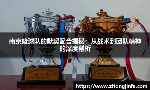 BoB半岛·体育中国官方网站