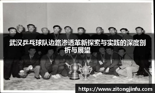 武汉乒乓球队边路渗透革新探索与实践的深度剖析与展望