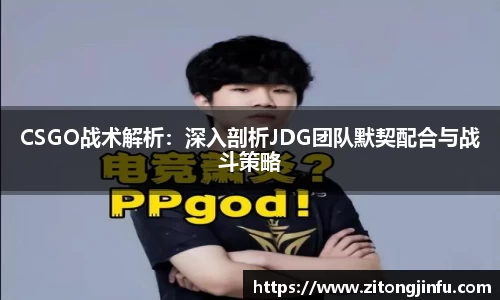 BoB半岛·体育中国官方网站