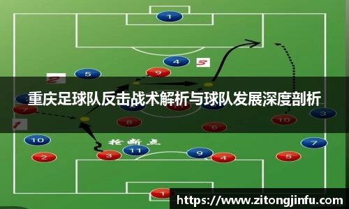 半岛bob·官方网站